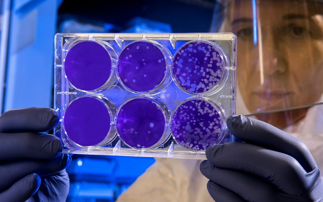 ONCY’s REO 033 Colorectal Cancer Trial Advances. How Its Catalyst Compares With Roche and Novartis