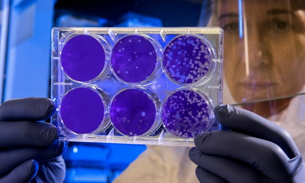ONCY’s REO 033 Colorectal Cancer Trial Advances. How Its Catalyst Compares With Roche and Novartis